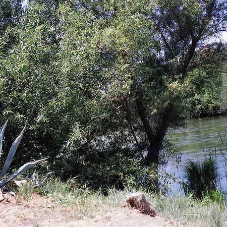 Sequoia Riverfront Cabins Three Rivers Extérieur photo
