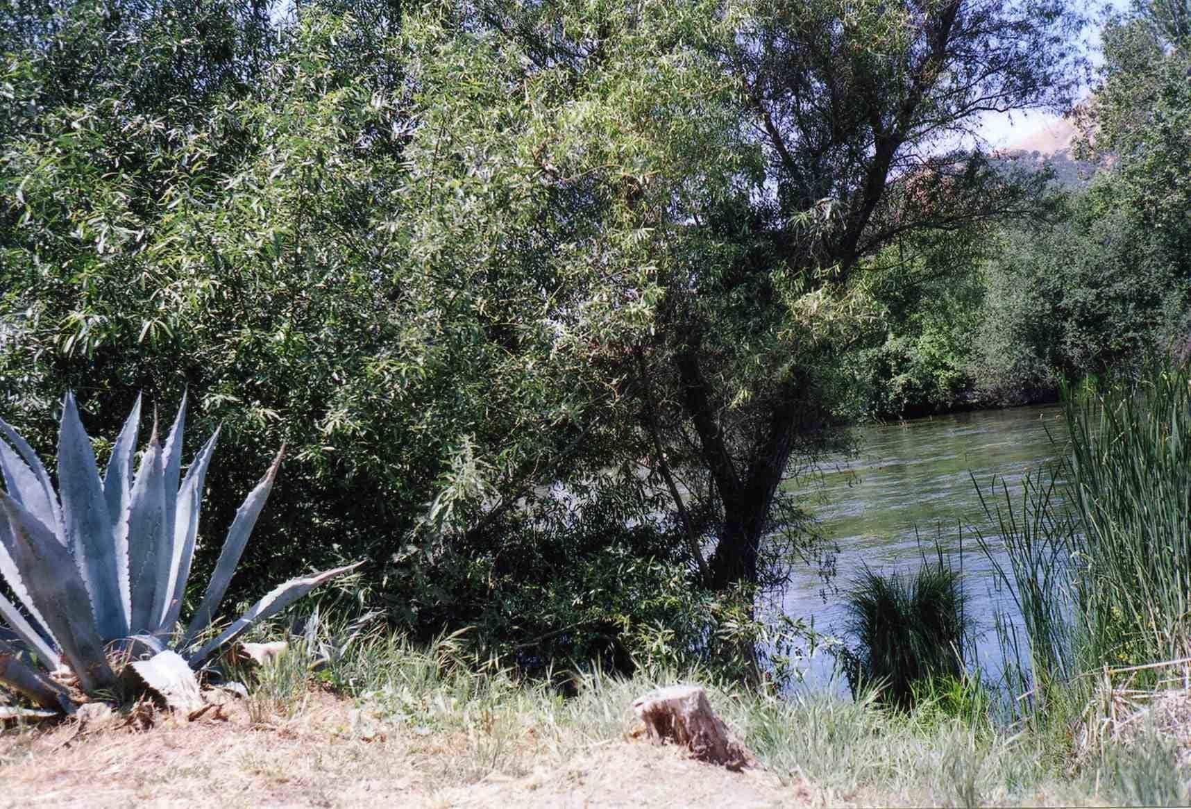 Sequoia Riverfront Cabins Three Rivers Extérieur photo